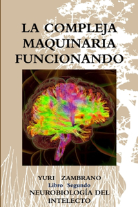 Compleja Maquinaria Funcionando