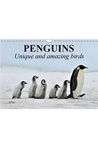 Penguins Unique and Amazing Birds 2018