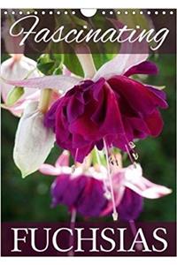 Fascinating Fuchsias 2018