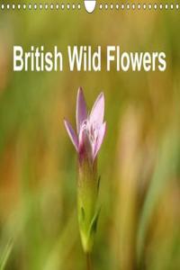 British Wild Flowers 2018