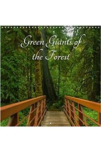 Green Giants of the Forest 2018