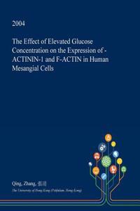 The Effect of Elevated Glucose Concentration on the Expression of -Actinin-1 and F-Actin in Human Mesangial Cells