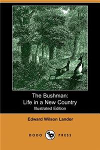 Bushman