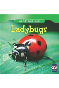 Incredible Ladybugs