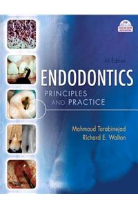 Endodontics