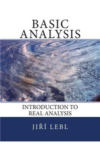 Basic Analysis: Introduction to Real Analysis