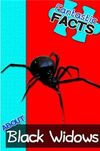 Fantastic Facts about Black Widows: Illustrated Fun Learning for Kids