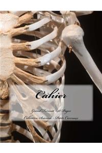 Cahier - Grand Format - 48 pages - Collection Sciences