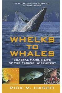 Whelks to Whales