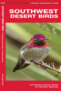 Southwest Desert Birds