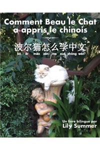 Comment Beau le Chat a appris le chinois
