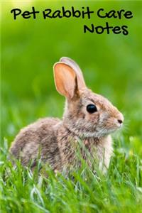 Pet Rabbit Care Notes