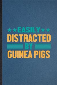 Easily Distracted by Guinea Pigs