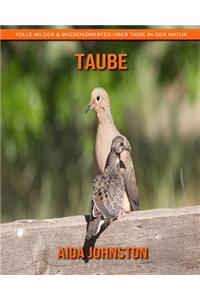 Taube