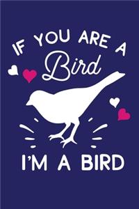 If You Are A Bird I'm A Bird