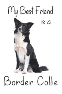 My best Friend is a Border Collie