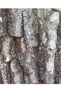 Oak Tree Bark Photo School Composition Book 130 Pages