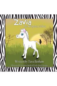 Zavia the Stripeless Zebra