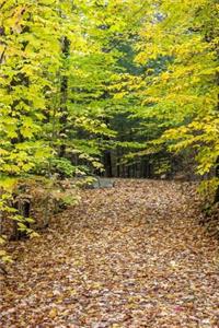2019 Daily Planner Pretty Fall Leaves Autumn Path 384 Pages