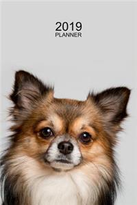 Chihuahua Planner 2019