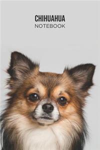 Chihuahua Notebook