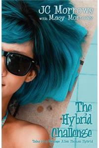 Hybrid Challenge