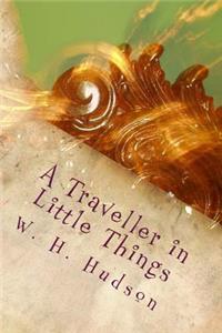 A Traveller in Little Things