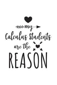 My Calculus Students Are The Reason