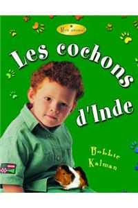 Les Cochons D'Inde