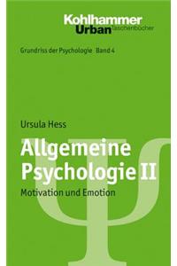 Allgemeine Psychologie II