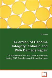 Guardian of Genome Integrity