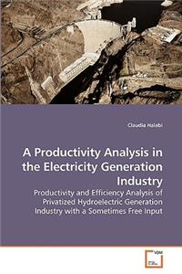 Productivity Analysis in the Electricity Generation Industry