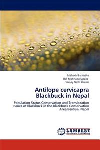 Antilope Cervicapra Blackbuck in Nepal