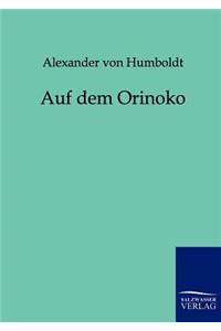 Auf dem Orinoko