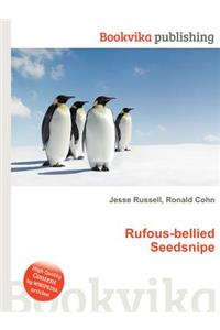 Rufous-Bellied Seedsnipe