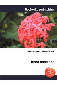 Ixora Coccinea