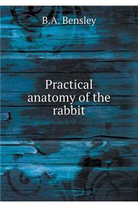 Practical Anatomy of the Rabbit