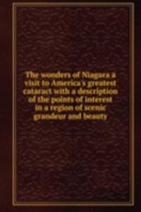 THE WONDERS OF NIAGARA A VISIT TO AMERI
