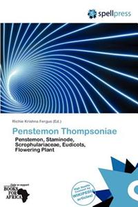 Penstemon Thompsoniae