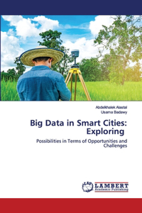 Big Data in Smart Cities