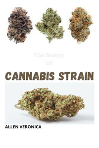 The Beauty Of CANNABIS STRAIN