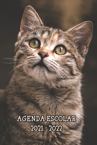 Agenda Escolar 2021 - 2022