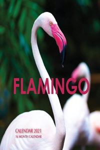 Flamingo Calendar 2021: 16 Month Calendar