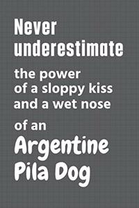 Never underestimate the power of a sloppy kiss and a wet nose of an Argentine Pila Dog