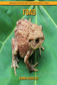 Toad