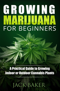 Growing Marijuana for Beginners