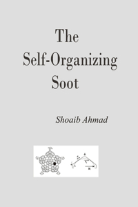 Self-Organizing Soot