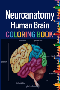 Neuroanatomy Human Brain Coloring Book: Colorful introduction to the anatomy of the human brain model for neuroscience