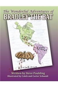 Wonderful Adventures of Bradley the Bat