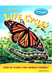 Looking at Life Cycles